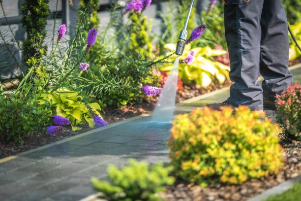 Best Driveway Pressure Washing  in Statham, GA